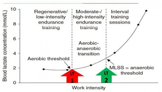 Figura 2. Grafica típica que relaciona la concentración de lactato en sangre con la carga de trabajo, incluyendo la transición aeróbico-anaeróbico como marco para obtener las intensidades de entrenamiento. En https://s11.gr  FTP vs MLSS en Ciclismo