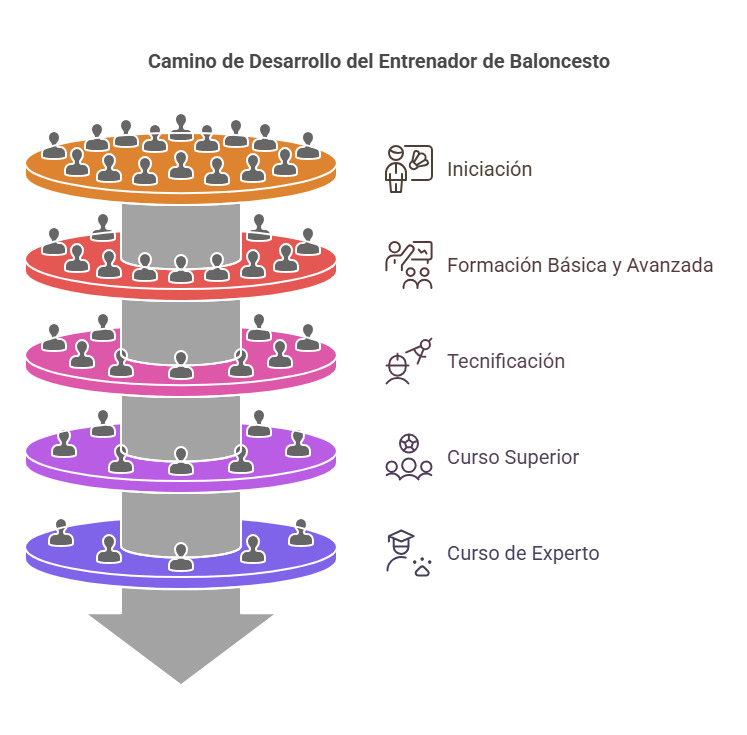 Niveles de Entrenador de baloncesto