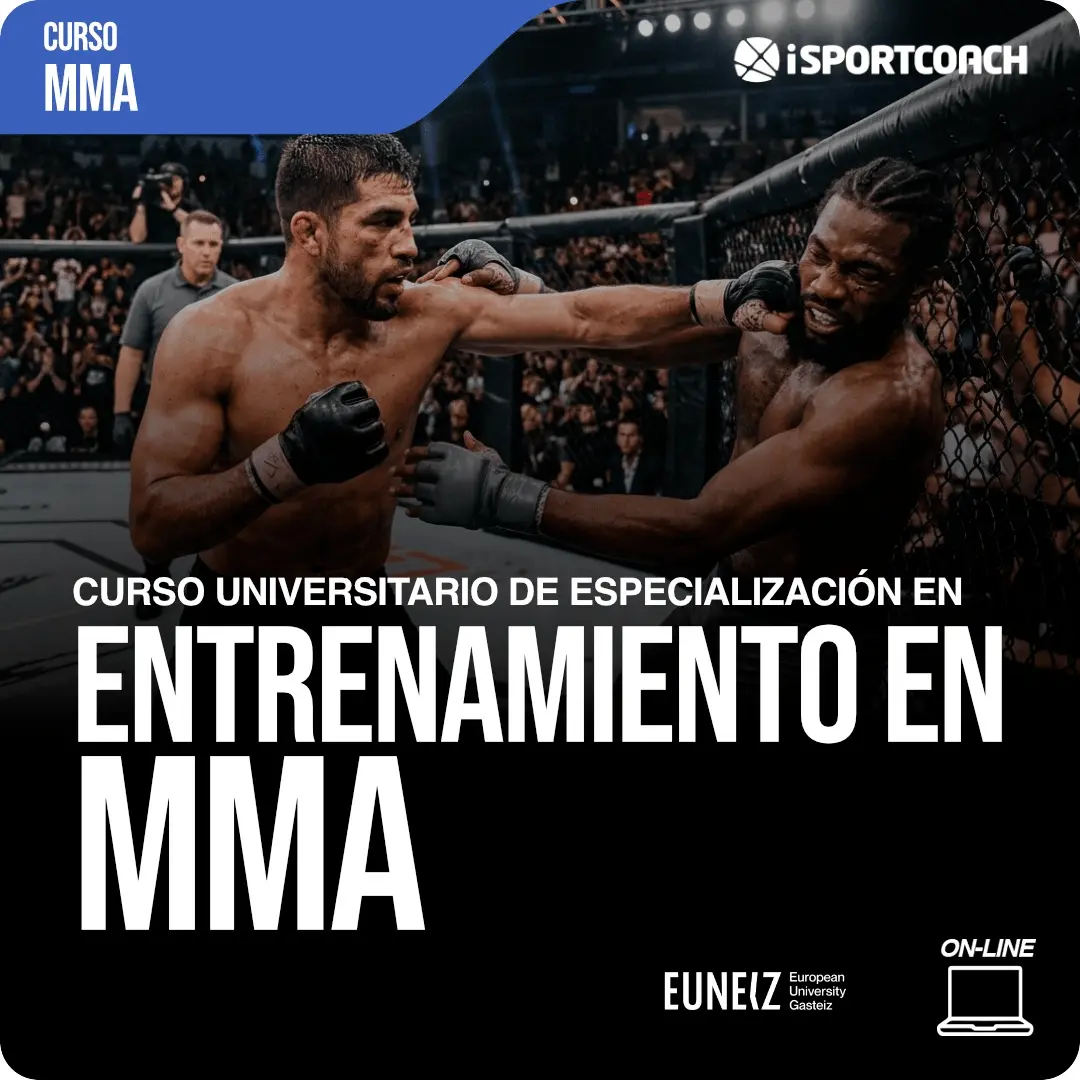 Curso de Entrenamiento MMA