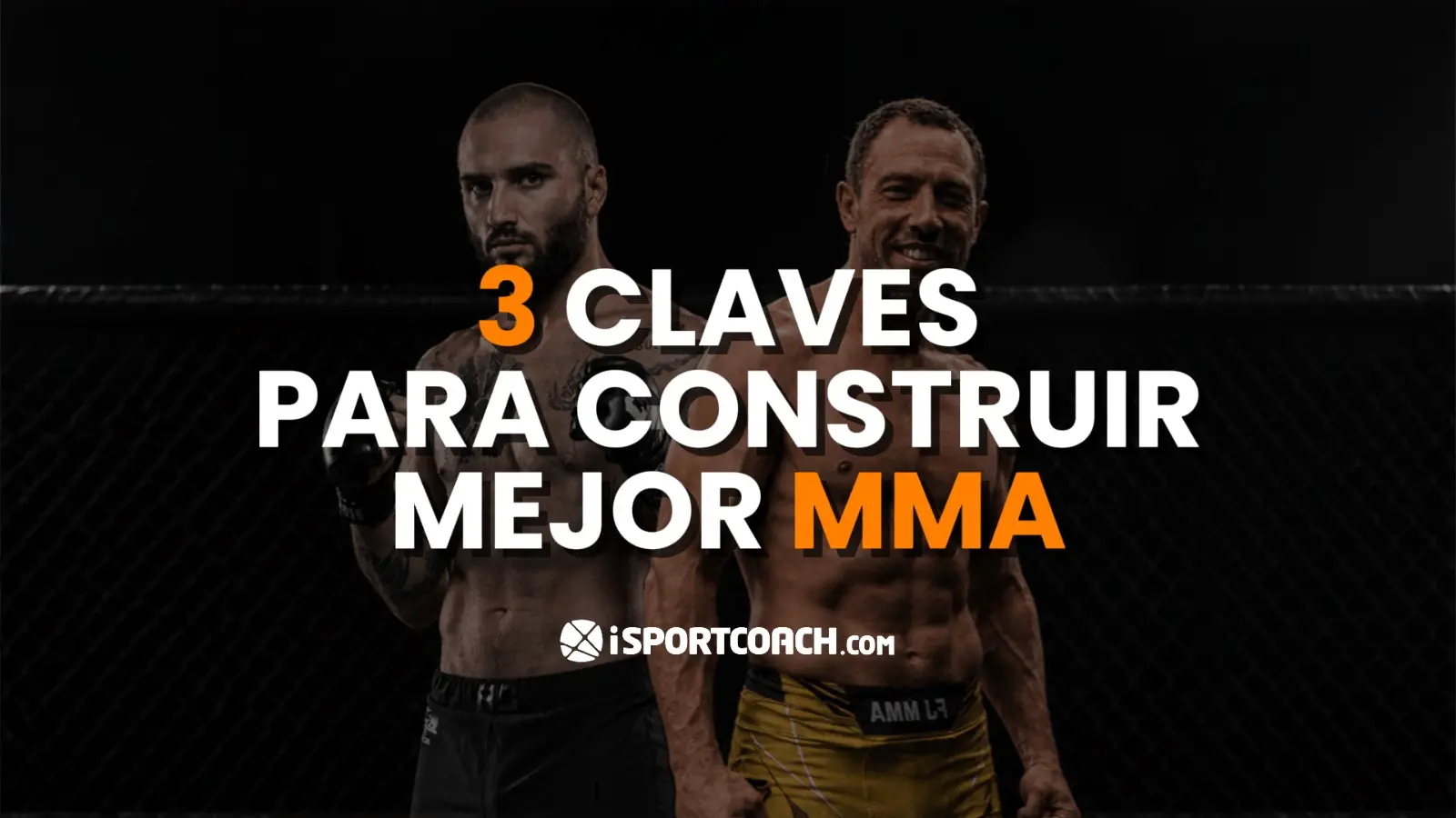 Entrenamiento profesional de MMA